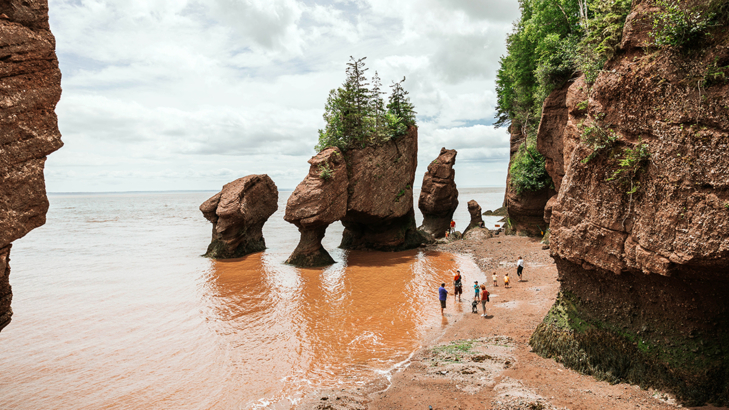 Kanada New Brunswick Bay of Fundy Hopewell RocksEbbe Foto Lauren Mullaly